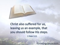 1 Peter 2:21
